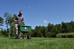 lawn grass seeding cary nc