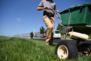 pH balancing lawn care in NC