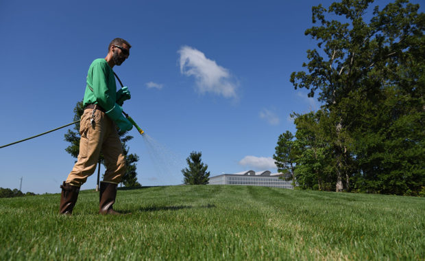 lawn weed control in raleigh nc