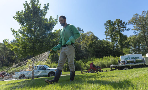 fungicide lawn application in North Carolina